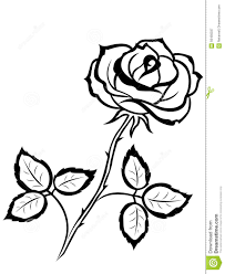 Czarny kontur róża kwiat ilustracji. Ilustracja złożonej z dekoracje -  56456337